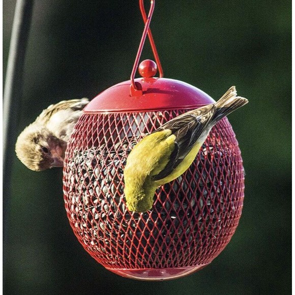 EnDarius-Set of 4 Squirrel Proof Bird Feeders for Outside - Picture 7 of 8
